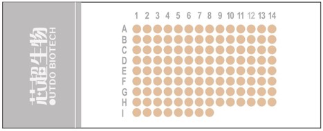 HOrgN120PT02