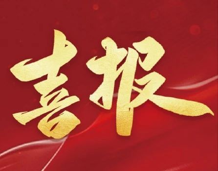 醫(yī)學(xué)科技創(chuàng)新之光——2024 年中華醫(yī)學(xué)科技獎